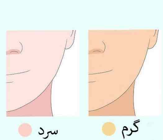 پوست هر شخص فارغ از رنگ پوستی که دارد در سه دسته ی سرد، گرم و خنثی قرار می‌گیرد. 