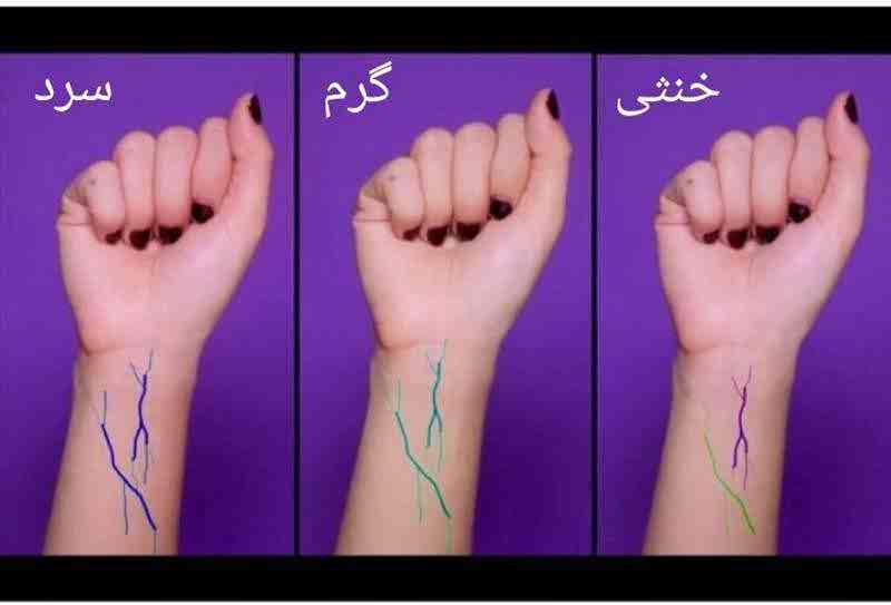 ته رنگ پوستی از طریق رگهای خونی دست قابل تشخیص است.