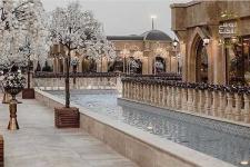 تصویر بند انگشتی فضای سبز باغ تالار عمارت دایانا با آلاچیق و آبنما