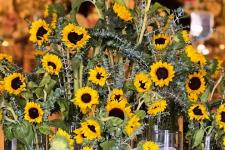 تصویر بند انگشتی دیزاین اختصاصی گل‌آرایی باغ عروسی رویال برای جایگاه عروس و داماد