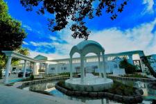 تصویر بند انگشتی نمای کلی از فضای باز باغ تالار تگ درخت